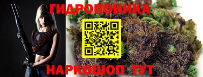 шишки Севастополь